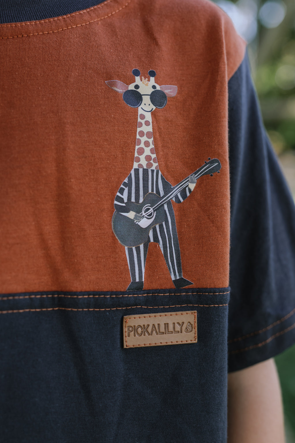 Boys T Shirts Guitar Giraffe print