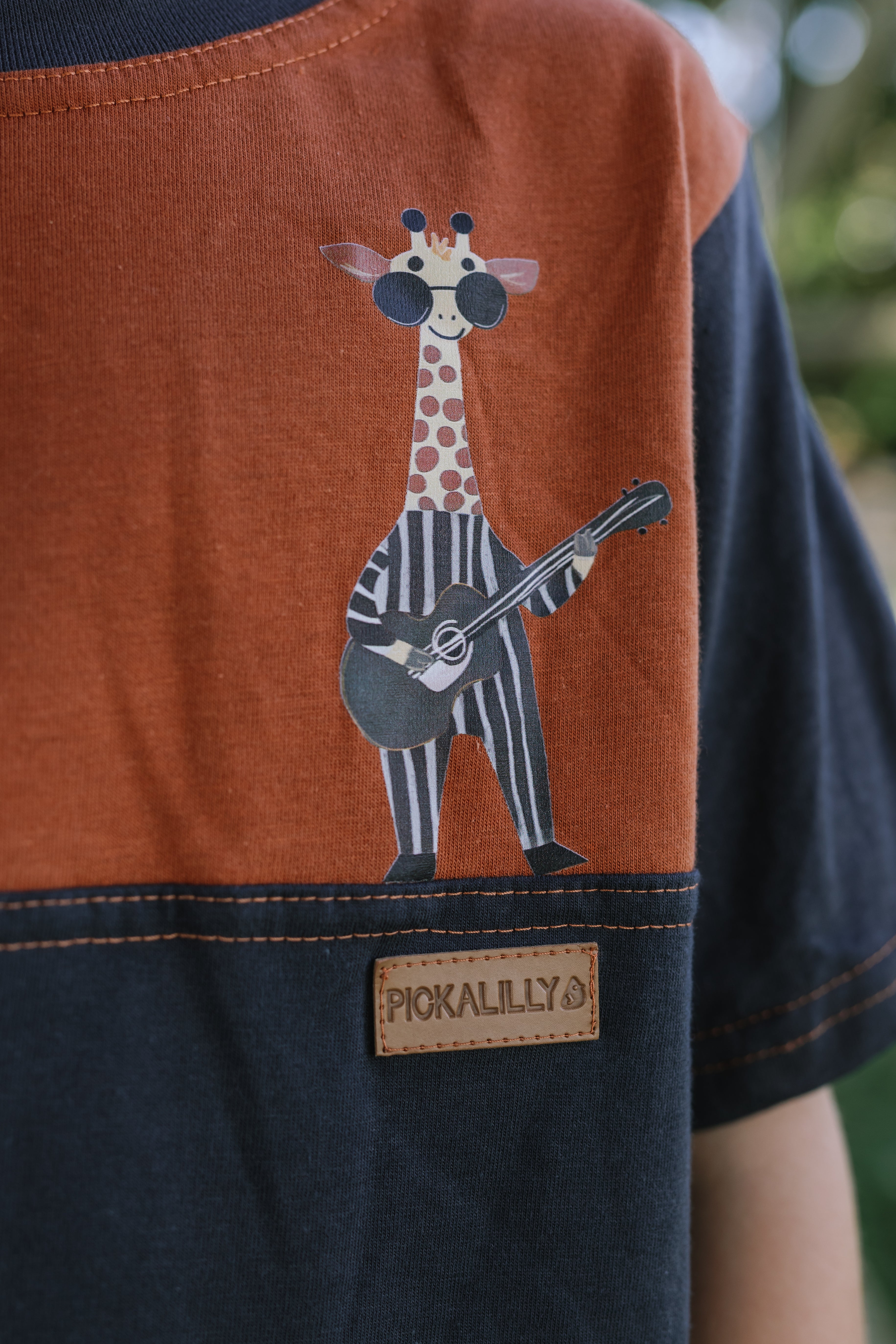 Boys T Shirts Guitar Giraffe print