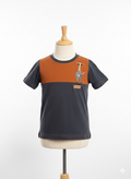Boys T Shirts Guitar Giraffe print