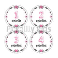 Monthly milestone stickers GIRLS ENGLISH