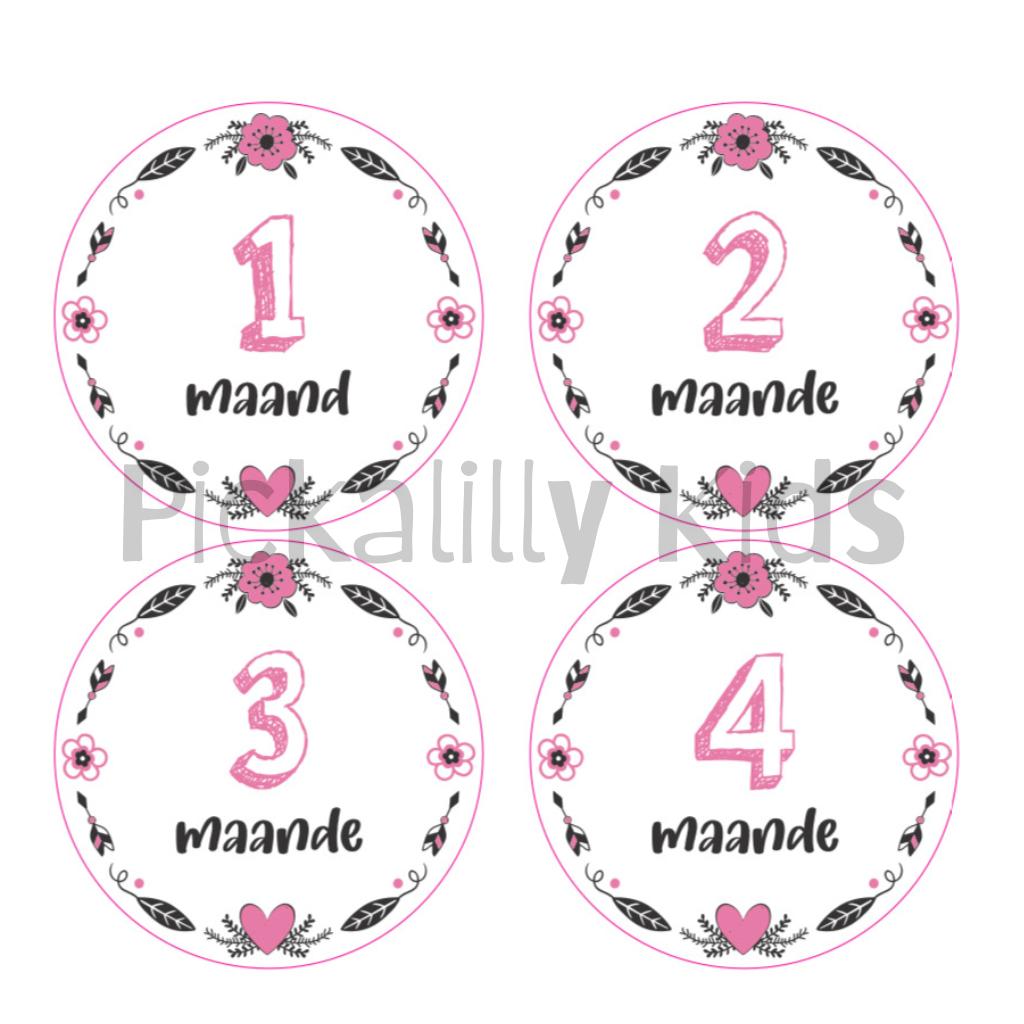 Monthly milestone stickers BOYS AFRIKAANS