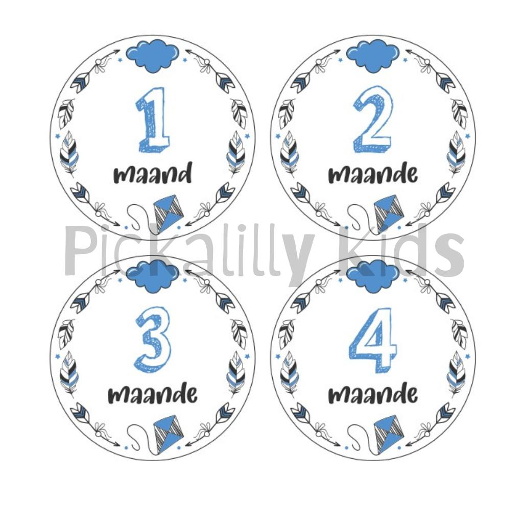 Monthly milestone stickers BOYS ENGLISH