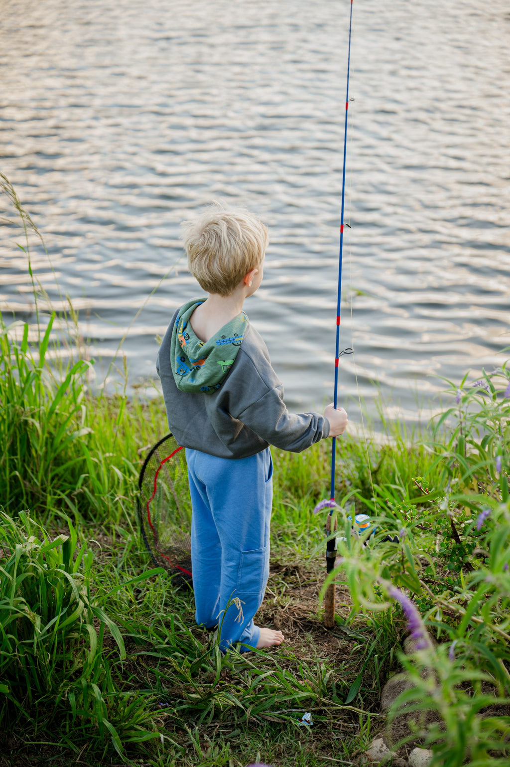Grey Green Cars Hood