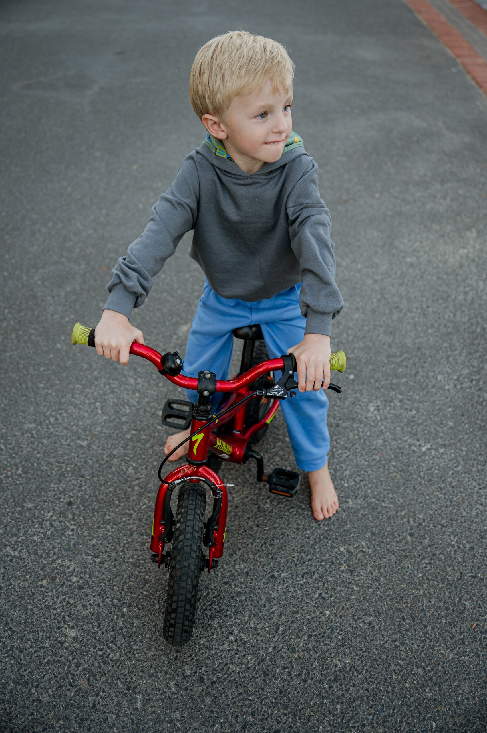 Grey Green Cars Hood