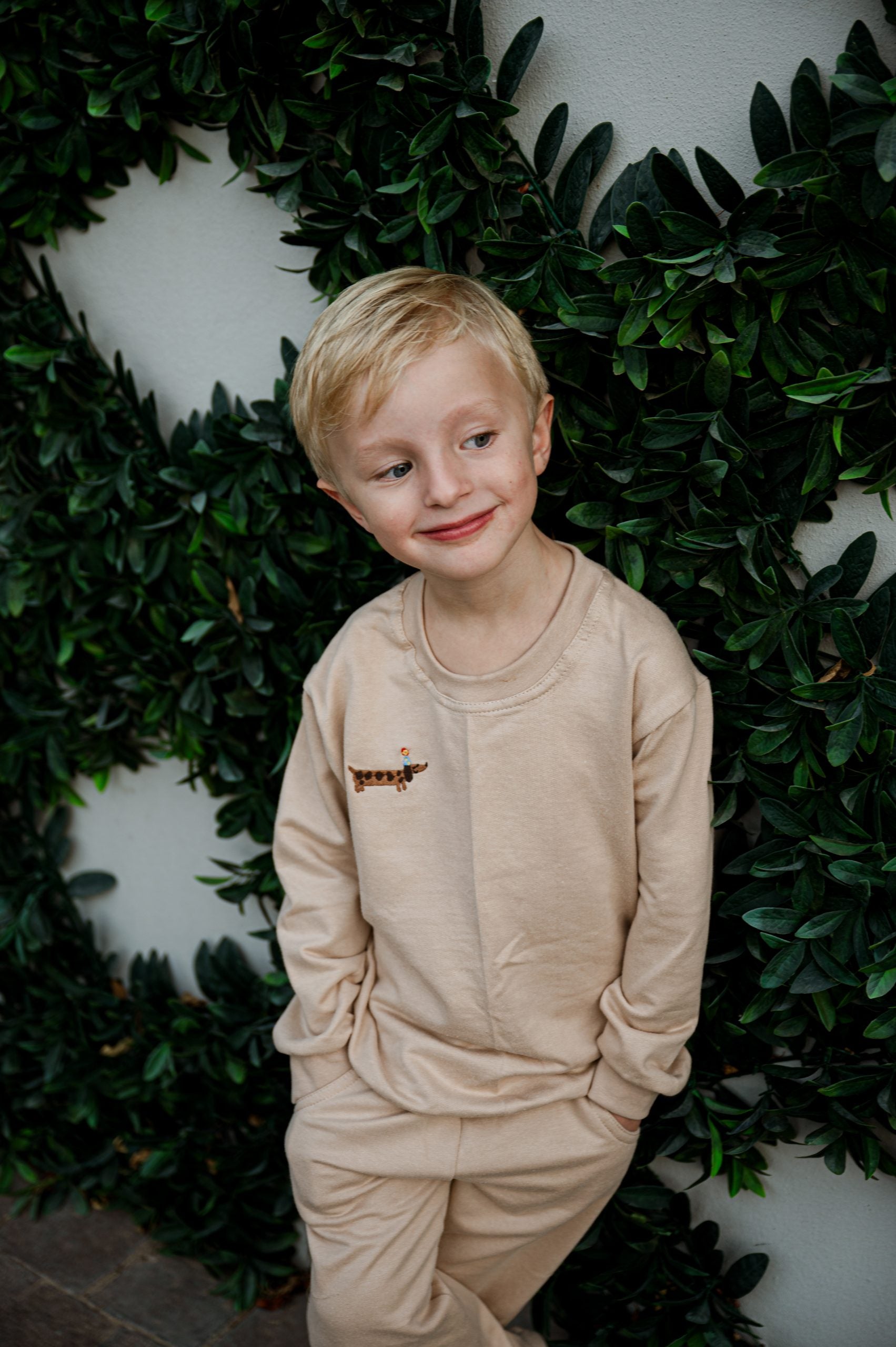 Embroidered Stone Top - Big brown doggo