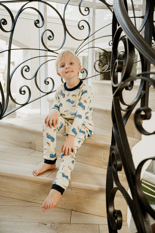 Blue Cats PJs